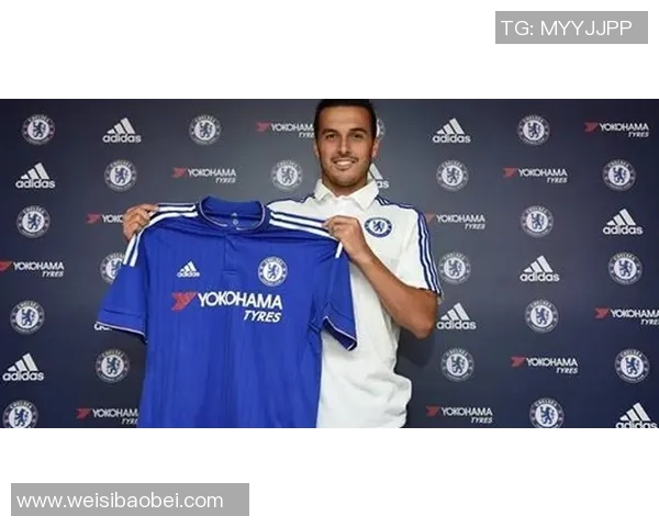 许钟豪的奋斗历程与成功秘诀探秘：从平凡到卓越的成长之路